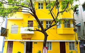 Mohi Villa